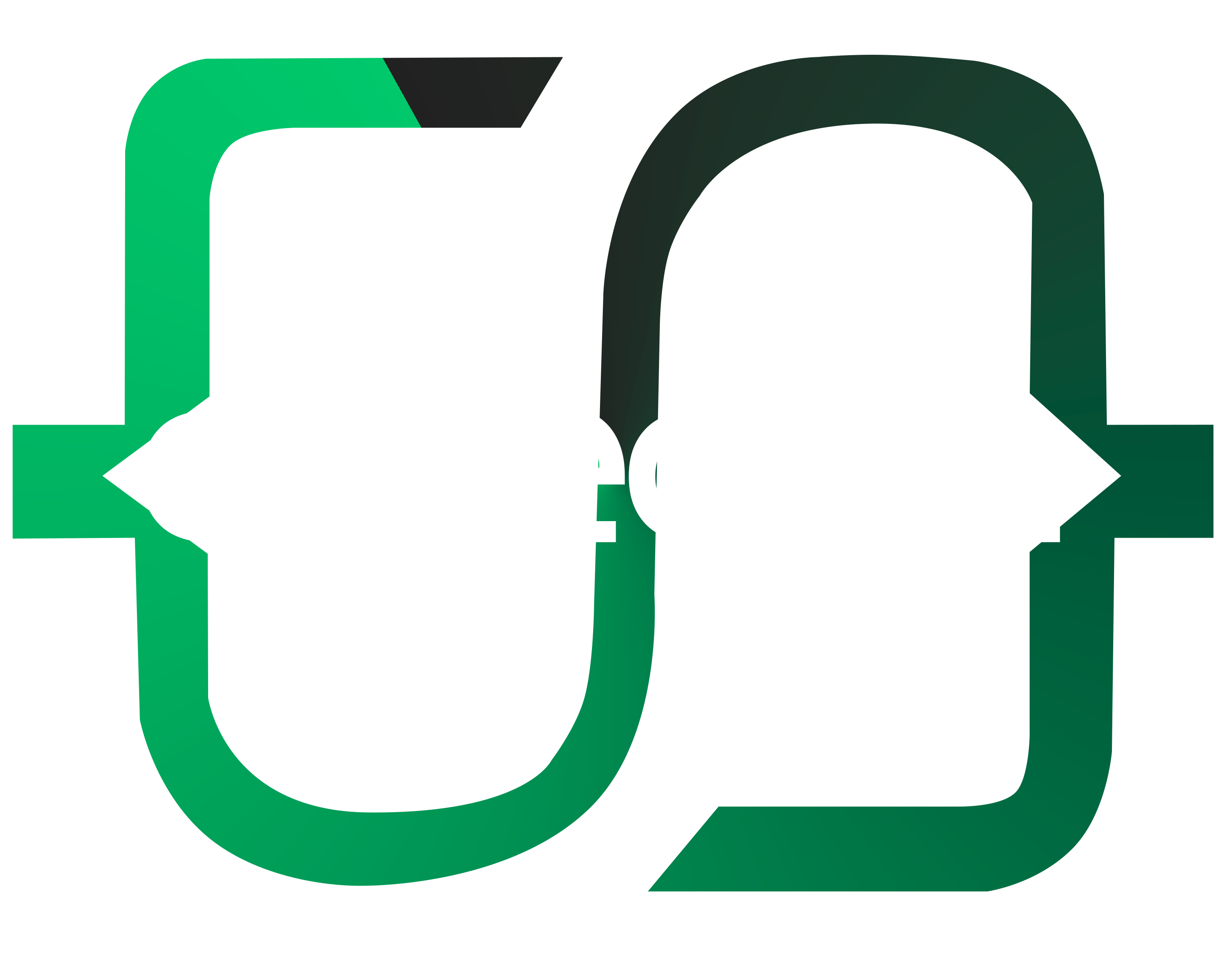 Logo Conectize